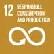 TheGlobalGoals_Icons_Color_Goal_12
